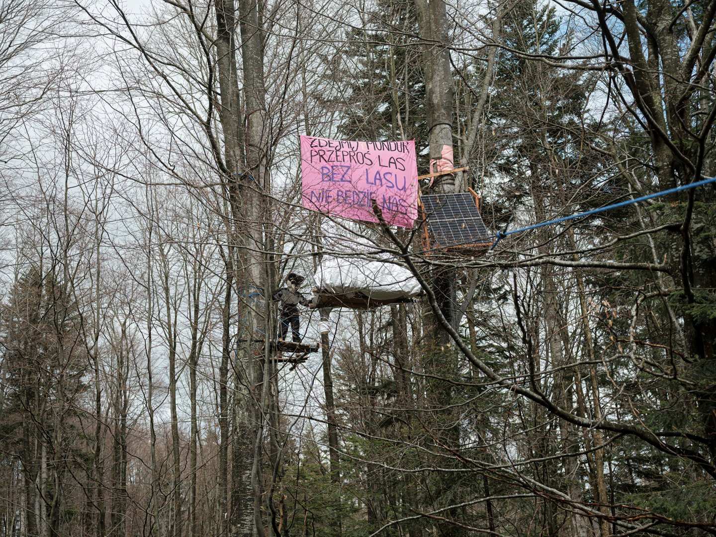 Wycinek okupacji Karpat, między dwoma drzewami rozciągnięty jest baner „Zdejmij mundur przeproś las, bez lasu nie będzie nas”, platforma i panel słoneczny.